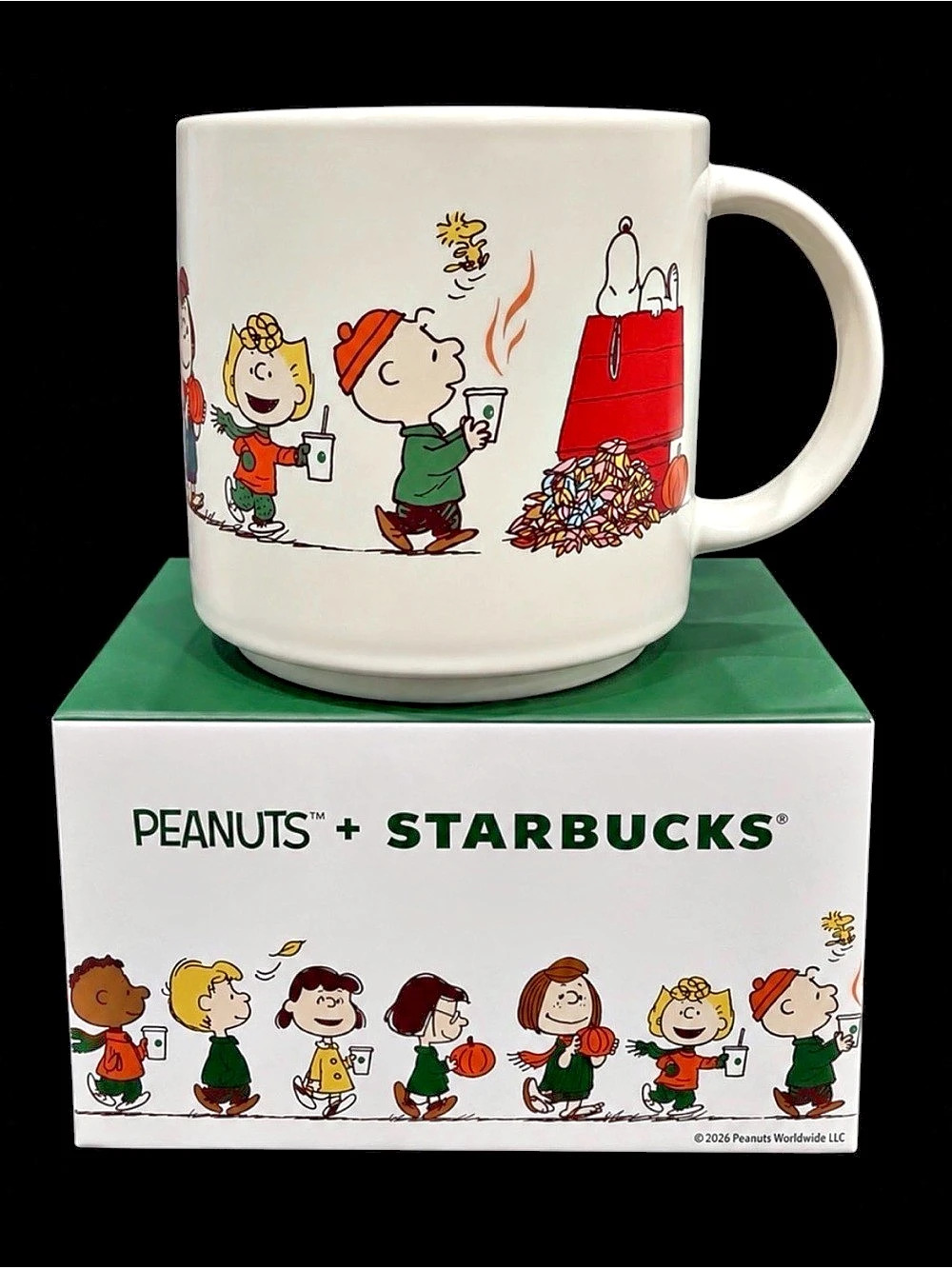 Starbucks Peanuts + Starbucks Fall Ceramic Mug White & Green. NWT.